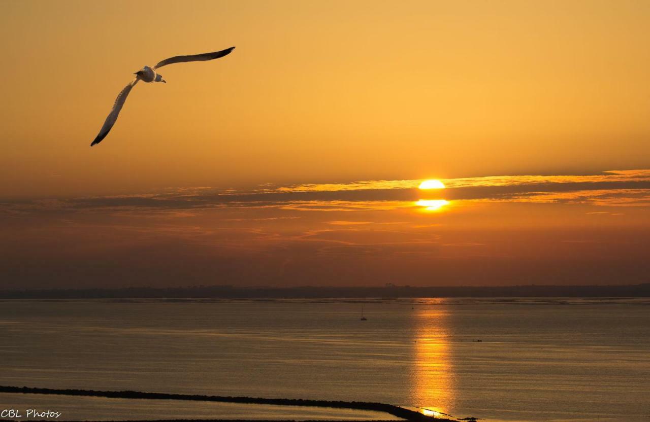 L'Eternel Estivant Sète Exteriör bild